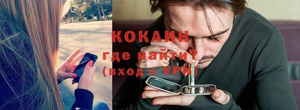 хмурый Аркадак