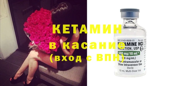 хмурый Аркадак