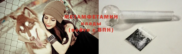 индика Козловка