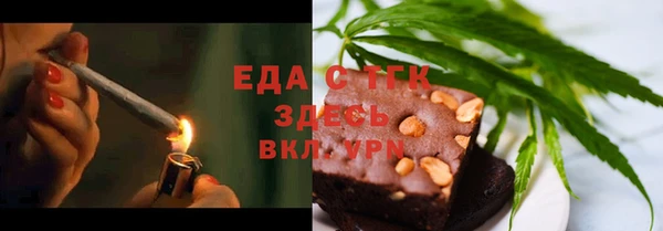 хмурый Аркадак