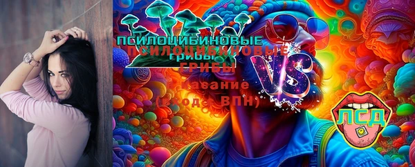 хмурый Аркадак