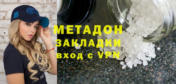 хмурый Аркадак