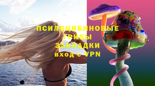 ECSTASY Армянск