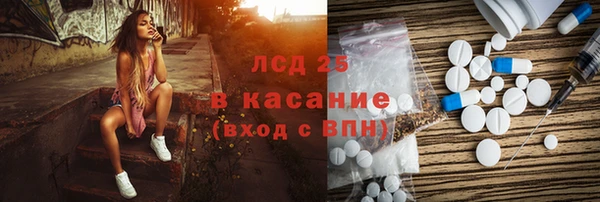 хмурый Аркадак