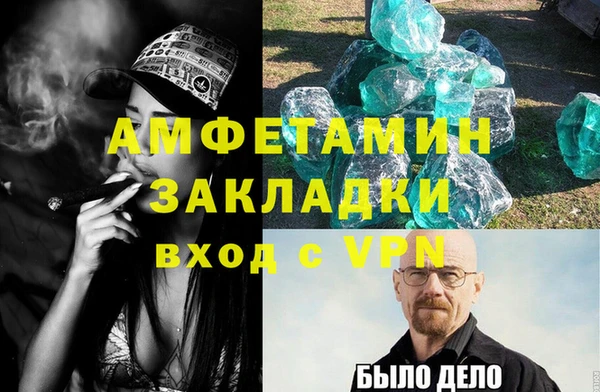 хмурый Аркадак