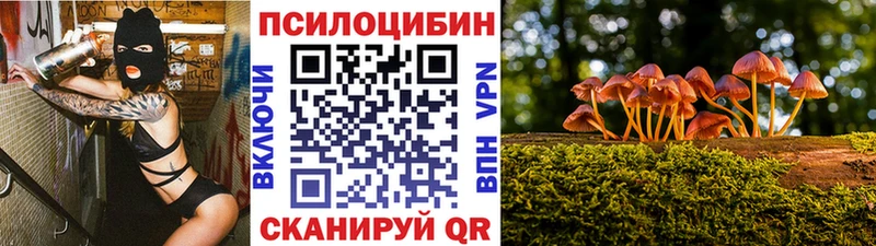Галлюциногенные грибы мицелий Пущино